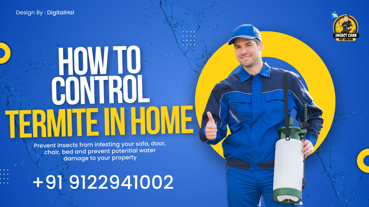 Insect Care Pest Control - A Professional Pest Control in Ranchi